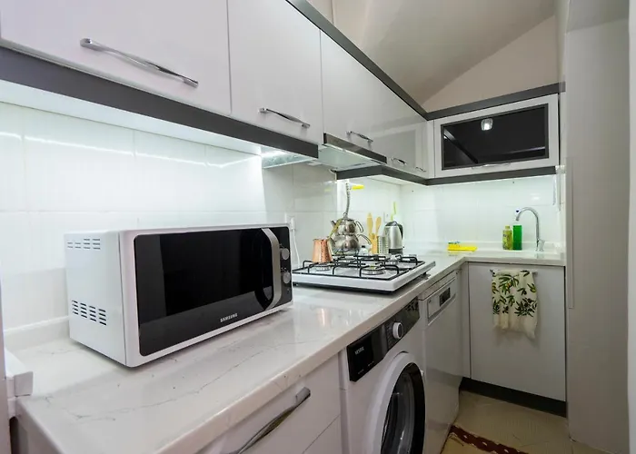 Blue Mosq- Three Storey Detached *