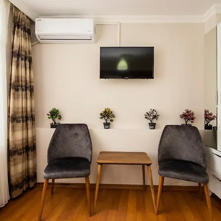 Villa Blue Mosq- Three Storey Detached Istambul